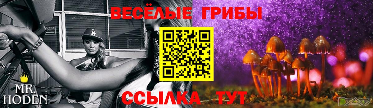 Псилоцибиновые грибы Psilocybine cubensis Ивантеевка