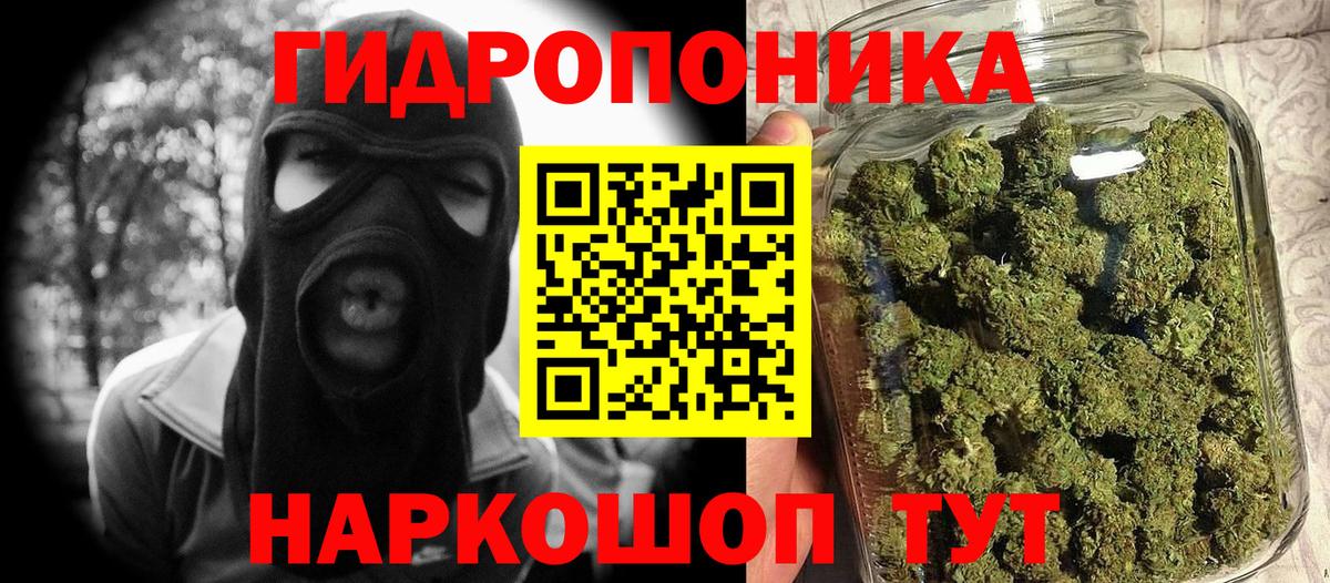 Конопля гибрид Ивантеевка